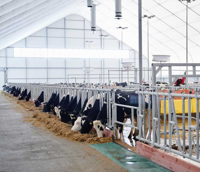 Stainless steel bars for Dairy